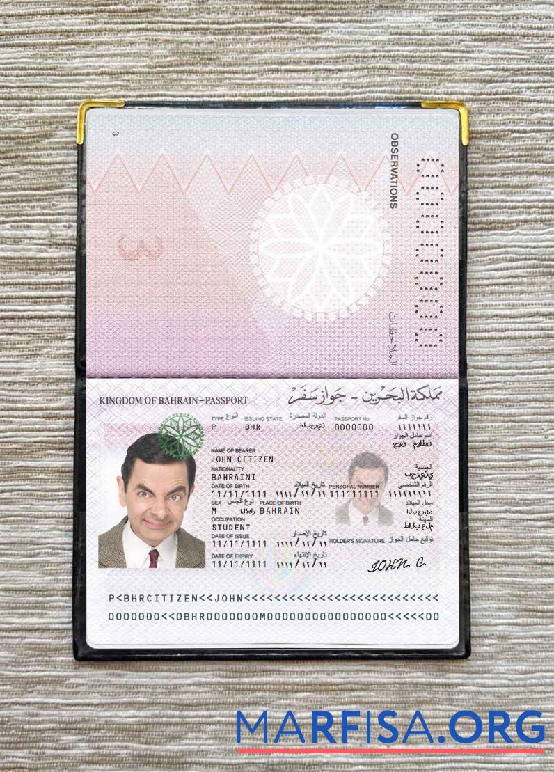 Blank Bahrain passport photo look sample